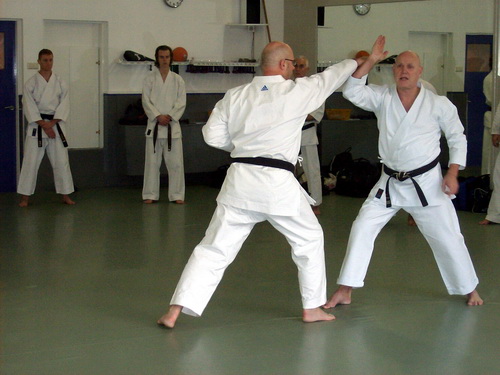 Wado Rashko Archief | Rob's Wado Karate